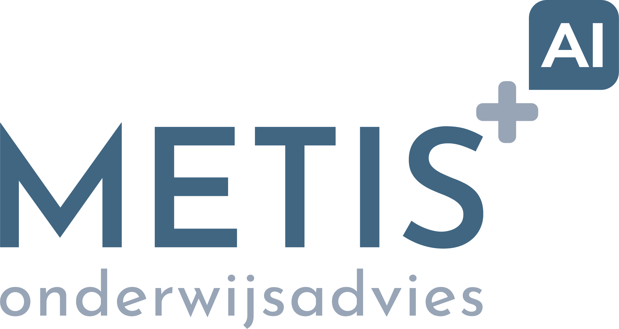 Metis onderwijsadvies + AI